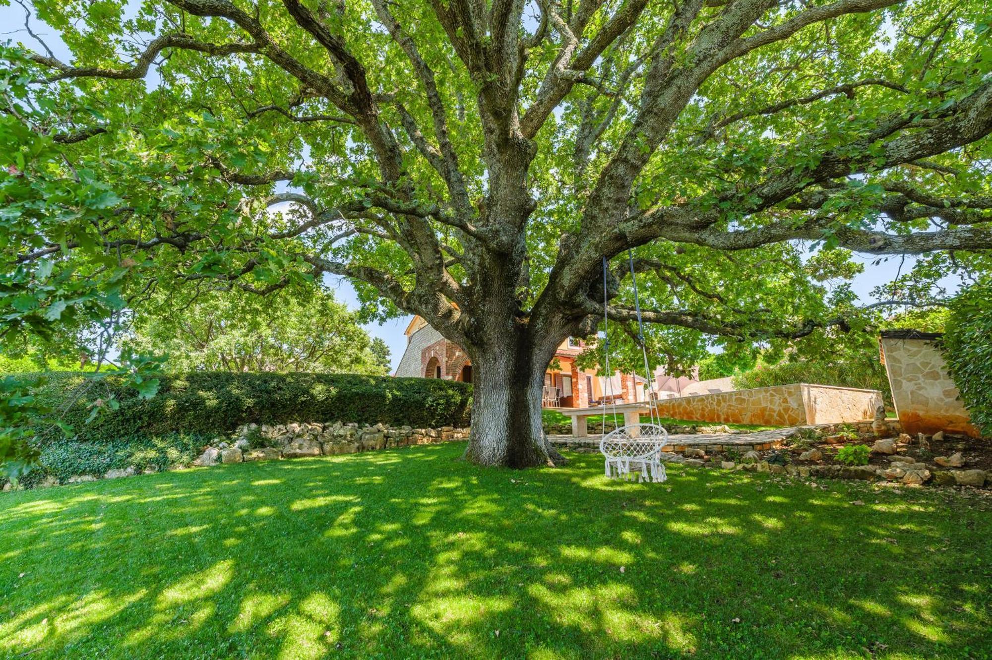 Villa Hrast Bacva Višnjan エクステリア 写真