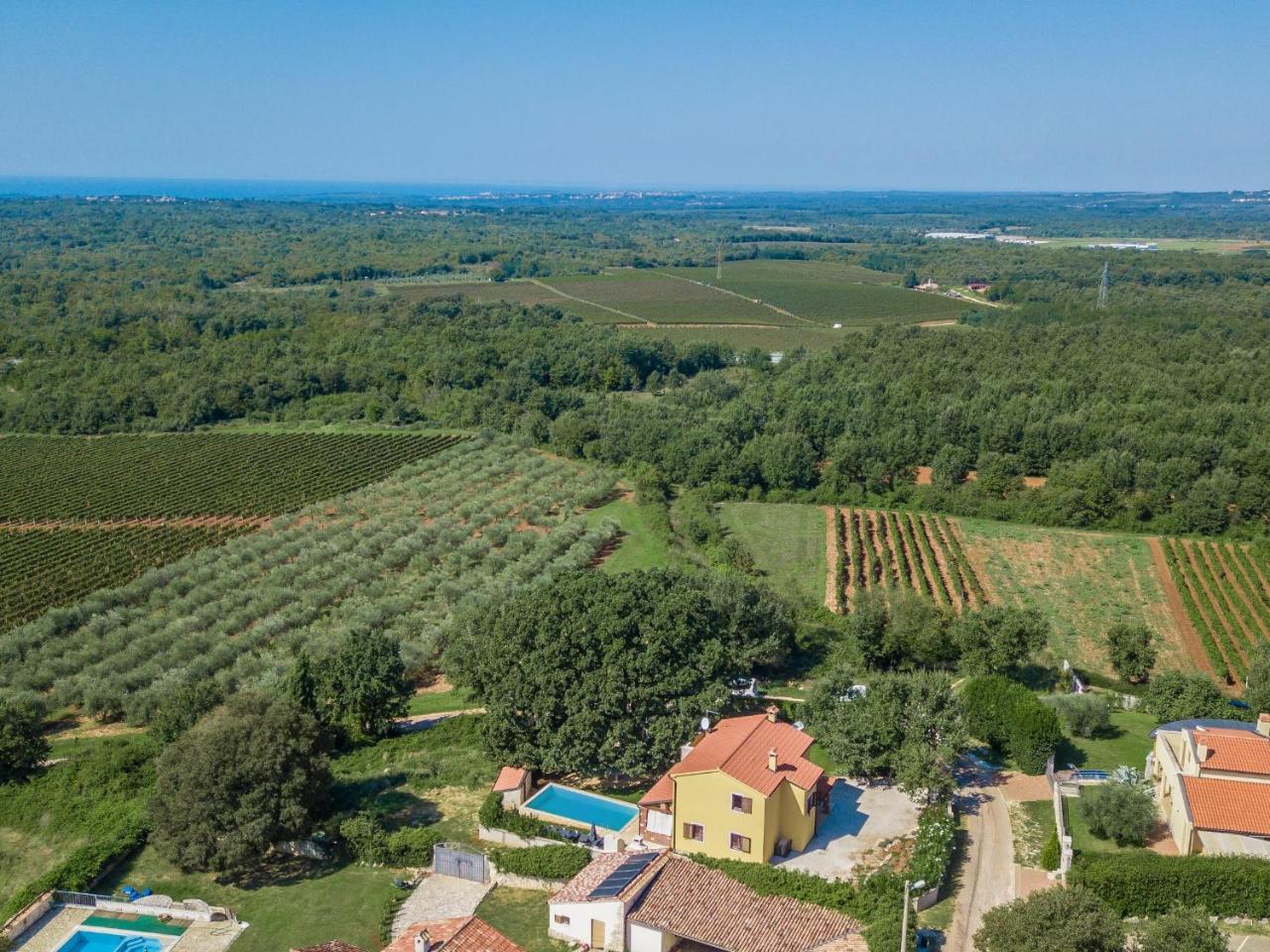 Villa Hrast Bacva Višnjan エクステリア 写真