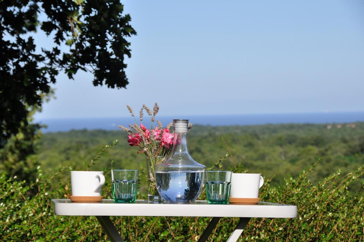 Villa Hrast Bacva Višnjan エクステリア 写真